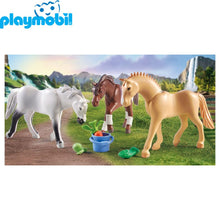 Cargar imagen en el visor de la galería, Waterfall Playmobil 71356