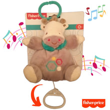 Cargar imagen en el visor de la galería, Jirafa peluche musical muñeco con cuerda Fisher Price