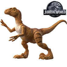 Cargar imagen en el visor de la galería, Jurassic World Mattel Velociraptor Legacy colección
