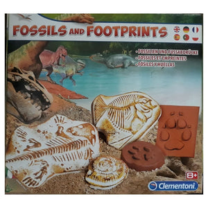 arqueojugando fosiles y huellas